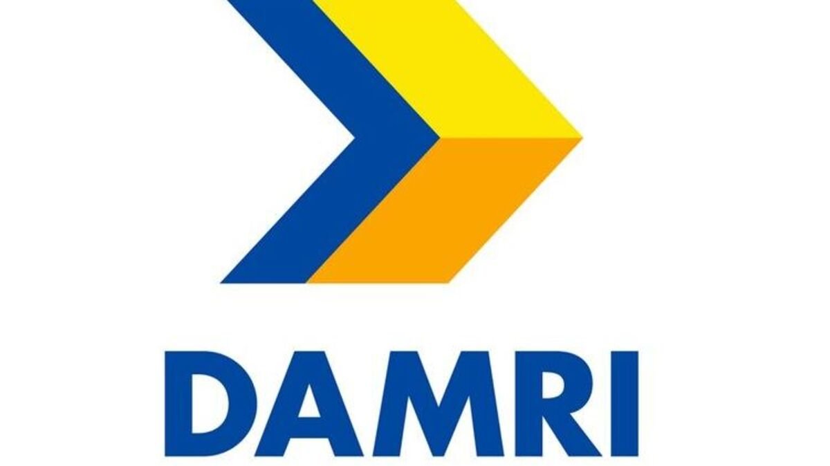 DAMRI - logo
